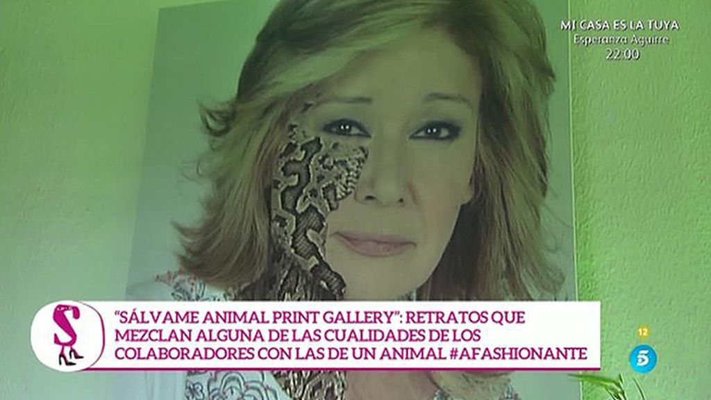 Leones, tigres, pumas, leopardos... La otra cara de los colaboradores