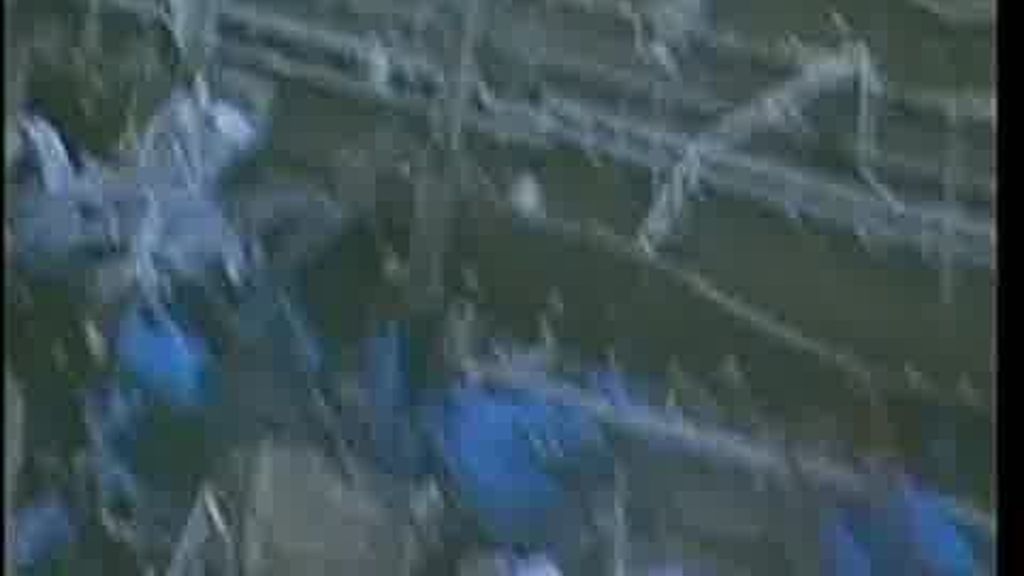 Los héroes de Fukushima