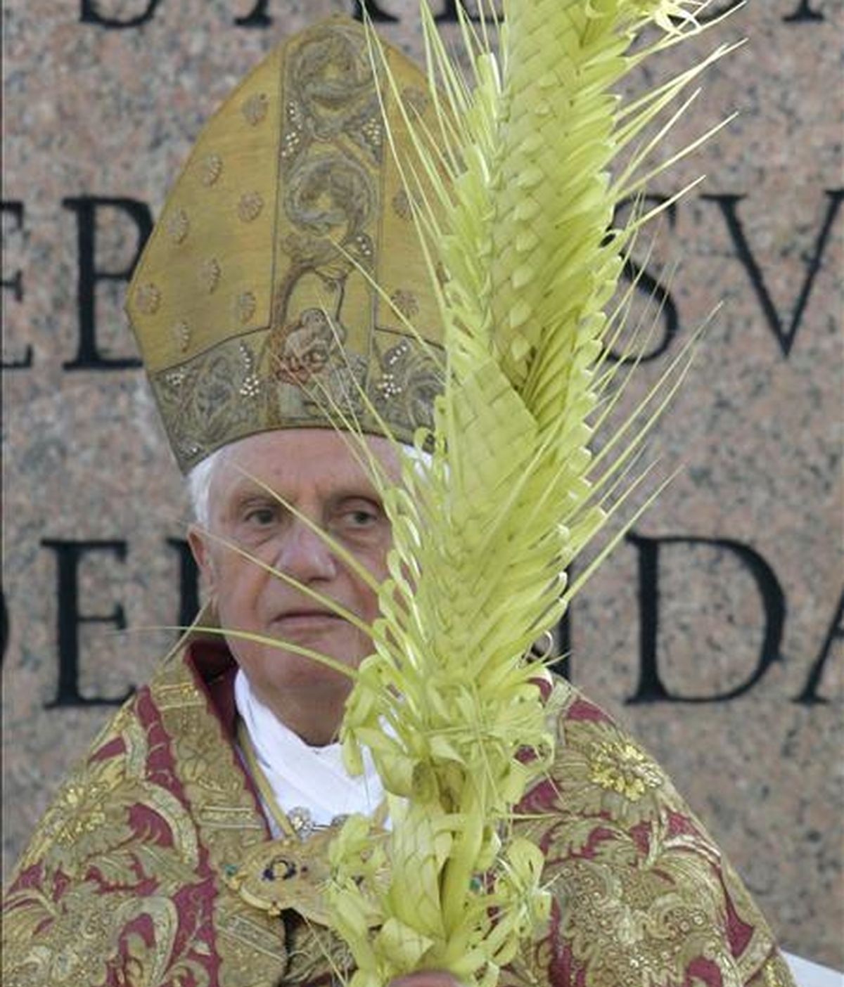 El papa Benedicto XVI sujeta una hoja de palma durante la misa con motivo del Domingo de Ramos, hoy en la plaza de San Pablo de El Vaticano. EFE