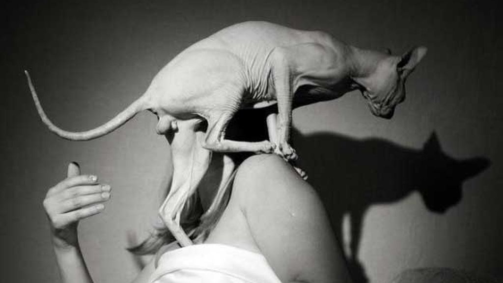 Las peores fotos de boda