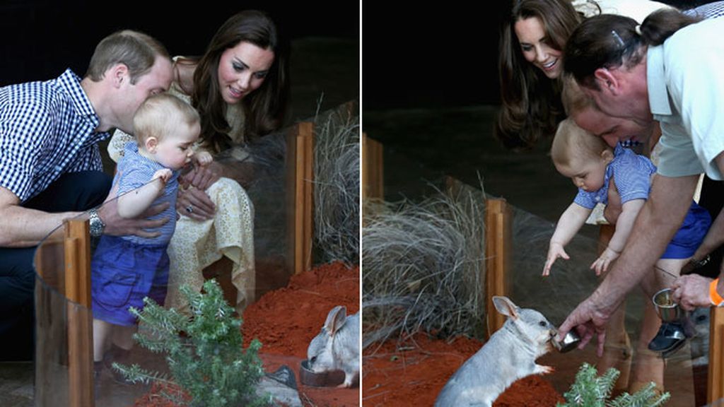 Así lo ha gozado el príncipe George en su primera visita al zoo con sus padres