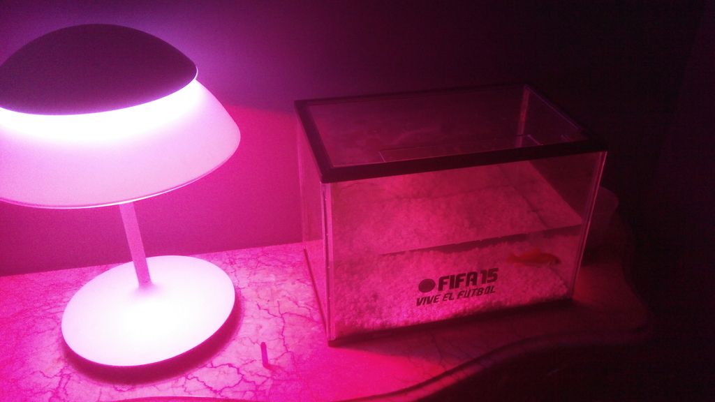 Dos salones con consolas, un bar, el primer FIFA...