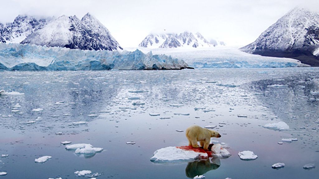 Increíbles imágenes del mundo salvaje
