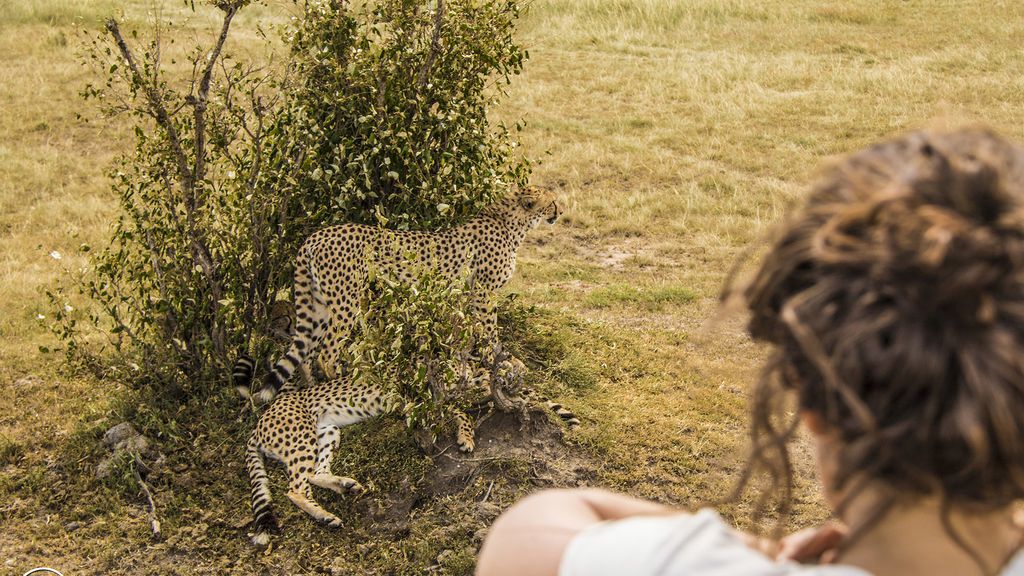 Masai Mara