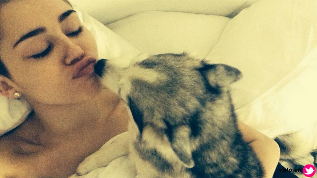 Así era la relación de Miley Cyrus y 'Floyd', el perro que ha revolucionado las redes