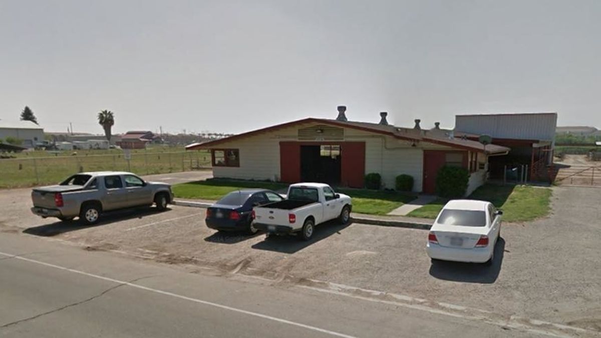 Un estudiante de California acusado de tener relaciones sexuales con una oveja Un estudiante de California acusado de tener relaciones sexuales con una oveja