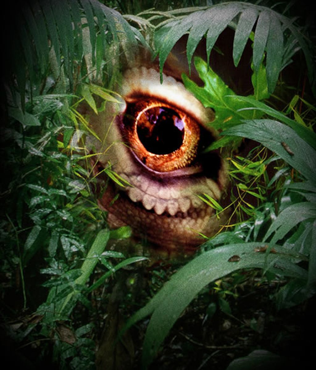 Isla maldita