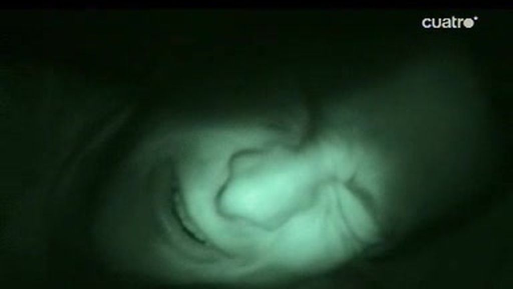 Costa Rica: Bear Grylls sufre una fuerte diarrea nocturna