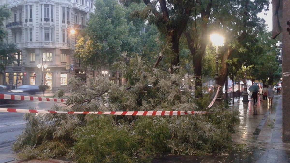 Bomberos trabajan para retirar ramas caídas por la tormenta en Madrid