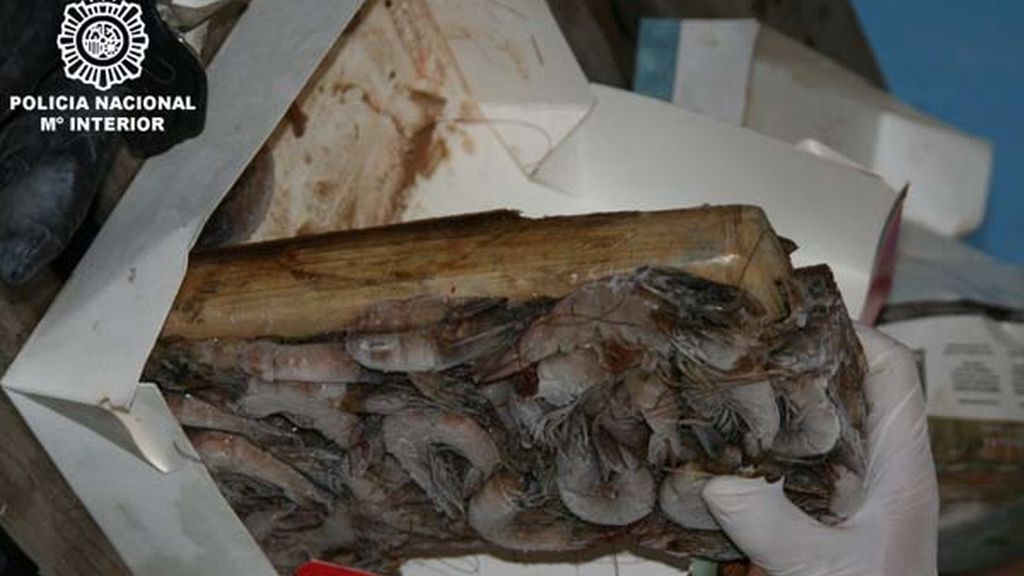 Cocaína entre gambas congeladas