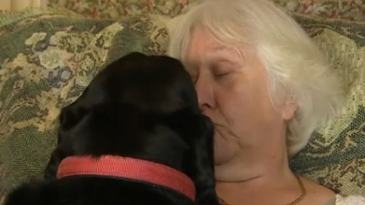 Un perro le descubre un cáncer de mama a su dueña