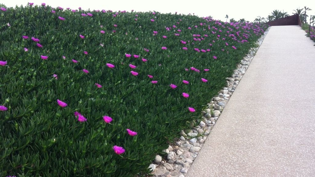 Concusantes Efecto ¡GUAU!... en vacaciones