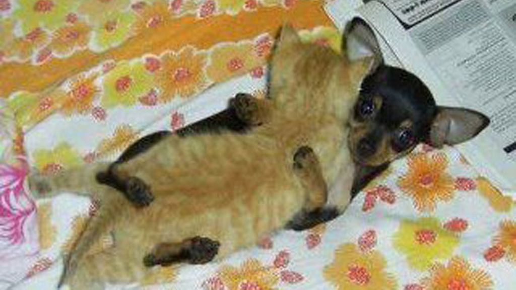 Parejas extravagantes