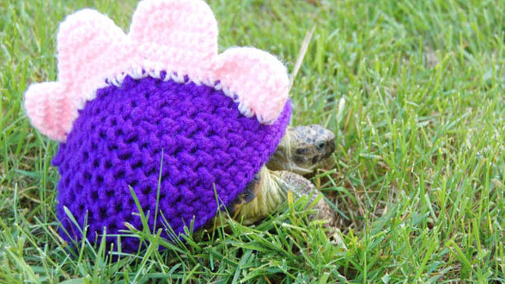 Las tortugas y sus trajes de ganchillo