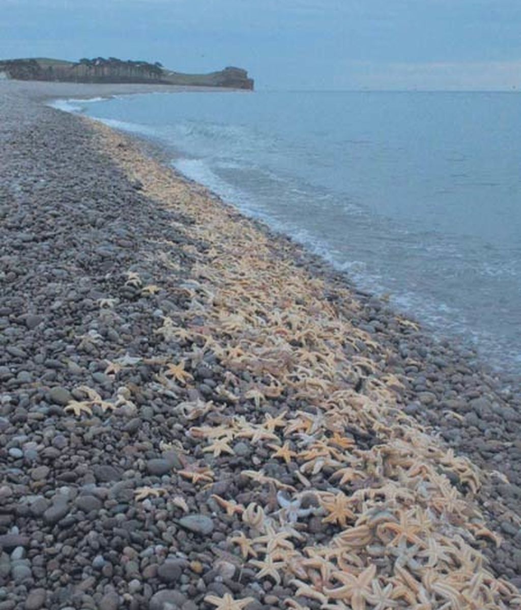 Muerte en el mar