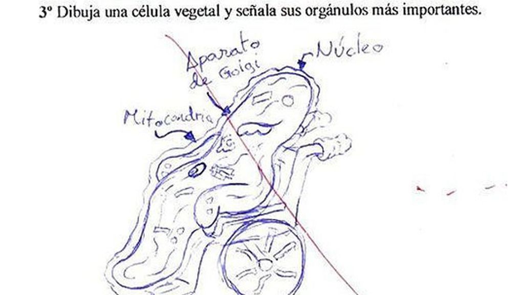 Las respuestas más disparatadas en los exámenes