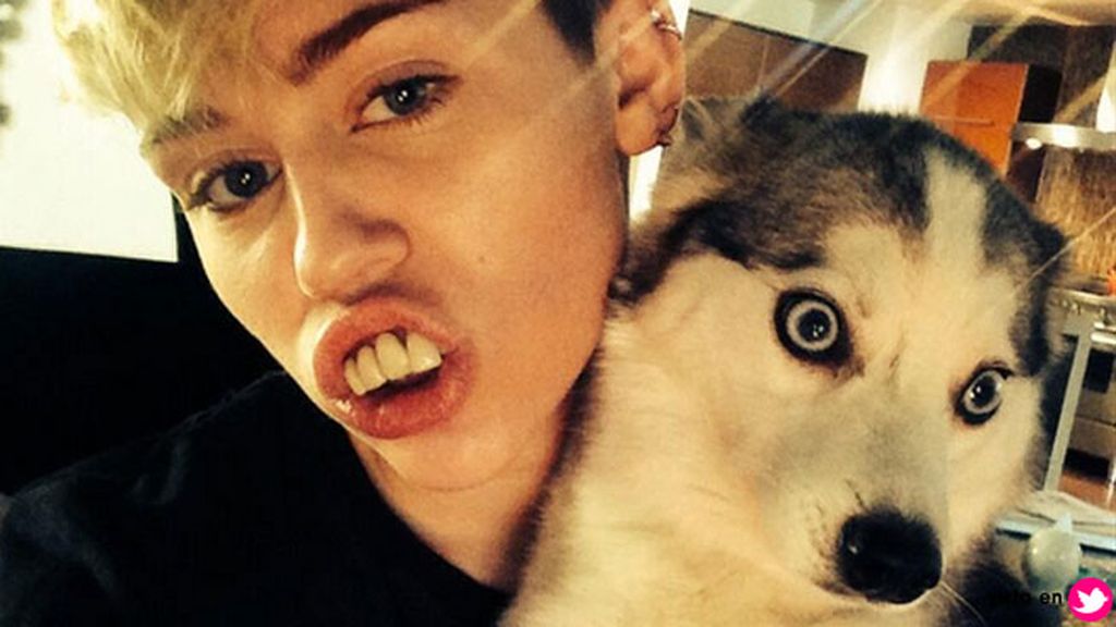 Así era la relación de Miley Cyrus y 'Floyd', el perro que ha revolucionado las redes
