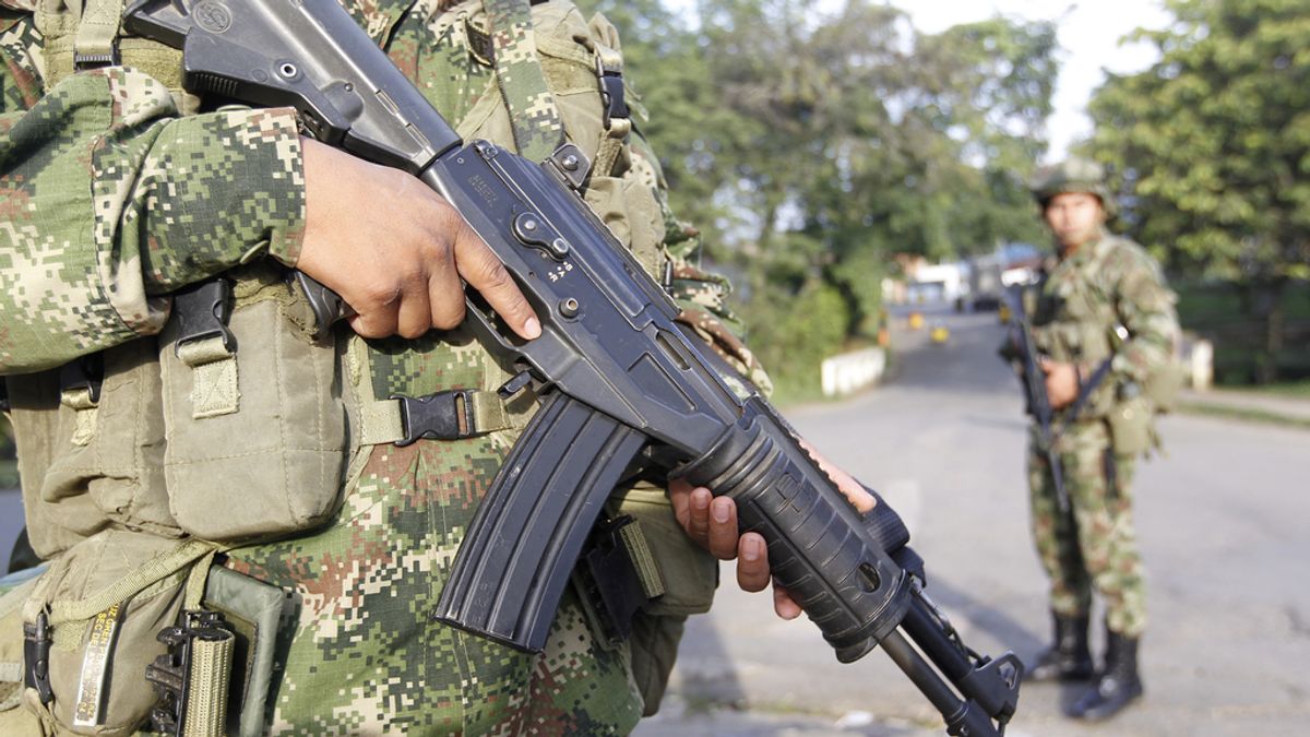 Mueren seis guerrilleros de las FARC durante una operación militar en el centro del país