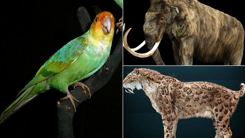Las especies de animales que los científicos quieren 'resucitar'