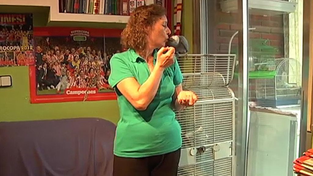 Jabalíes, ciervas, linces, burros, ocas y ponis... unos animales muy domésticos