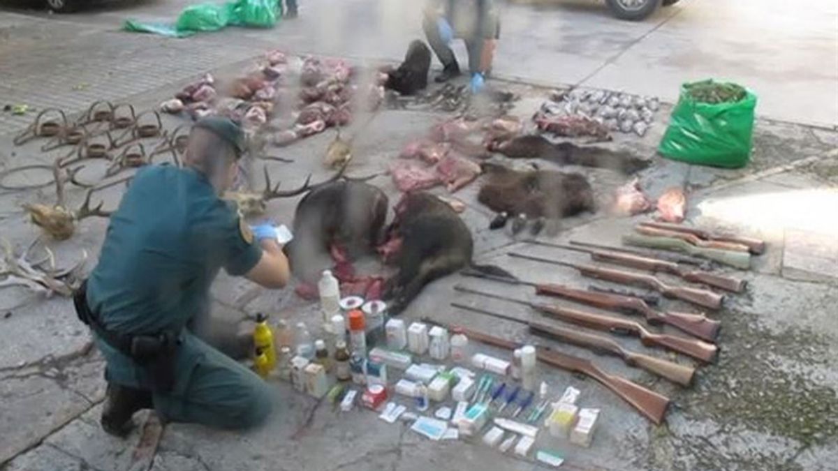 Detenidos cuatro cazadores furtivos que subieron a Facebook un vídeo con un venado agonizante