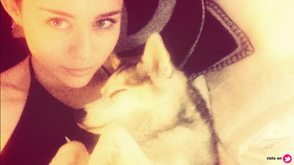 Así era la relación de Miley Cyrus y 'Floyd', el perro que ha revolucionado las redes