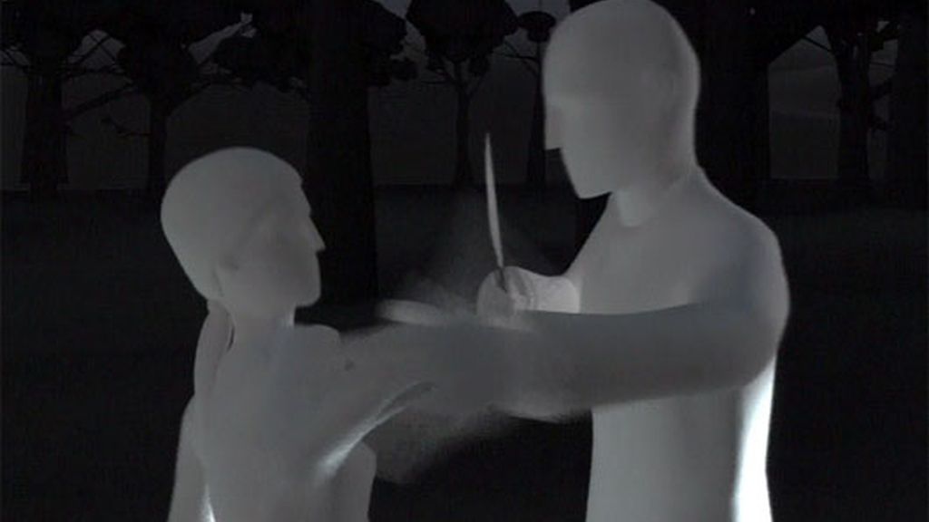 El caso Wanninkhof- Carabantes paso a paso