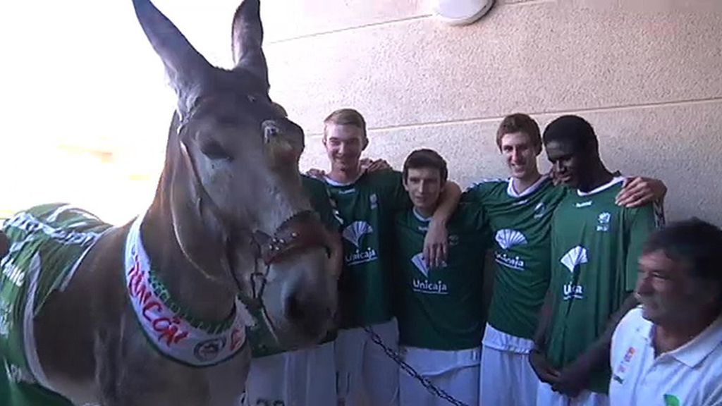 Jabalíes, ciervas, linces, burros, ocas y ponis... unos animales muy domésticos