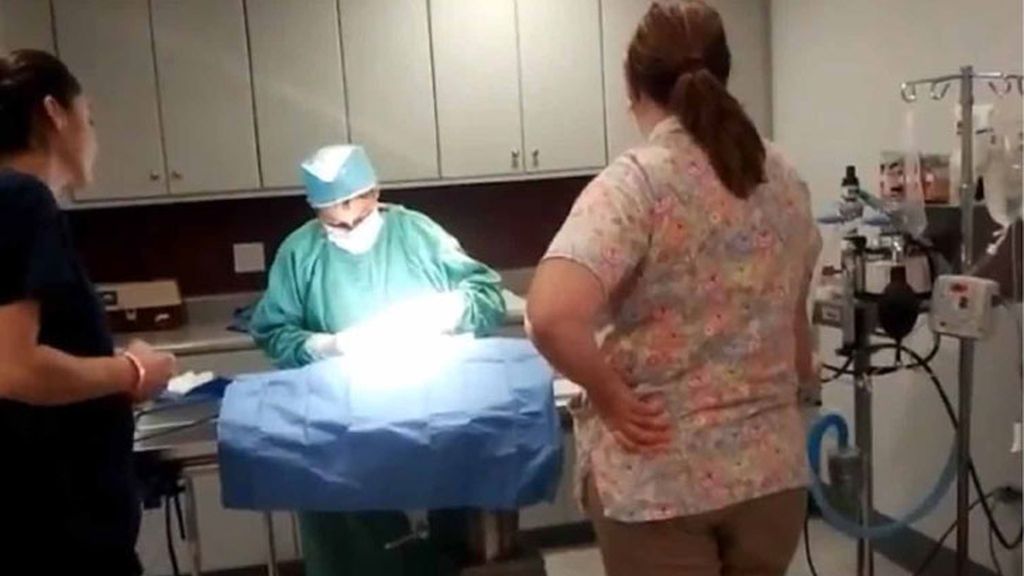 El gato que nació con un solo ojo