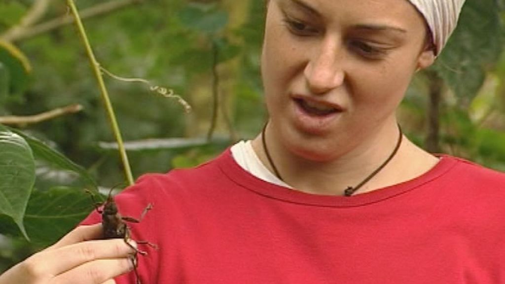 Escarabajos y larvas, un manjar para los nakulamené