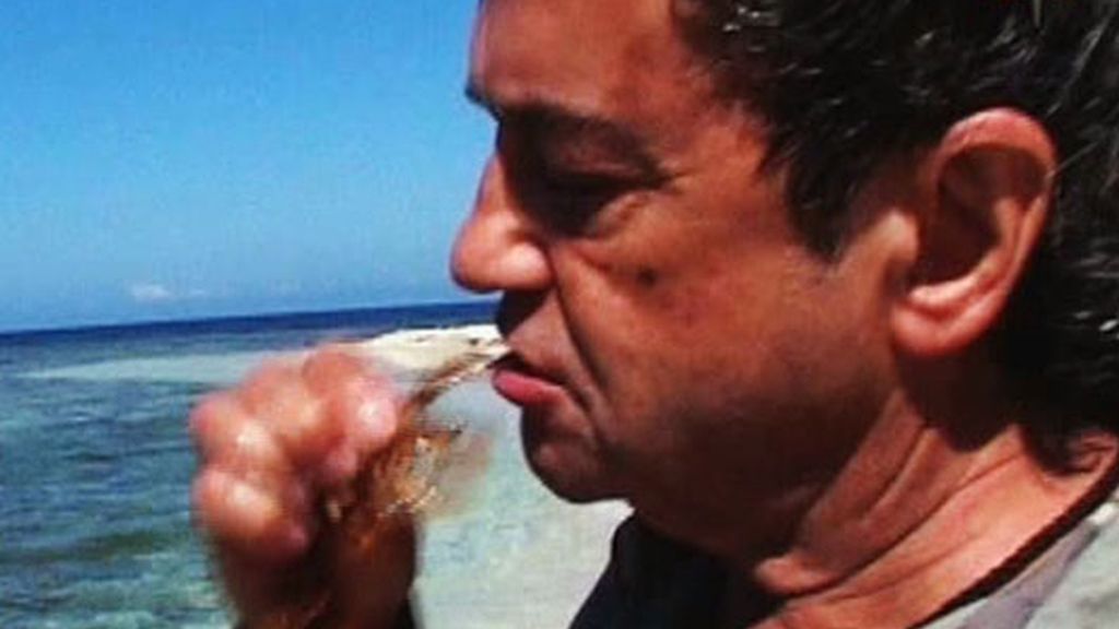 'Supervivientes 2008'