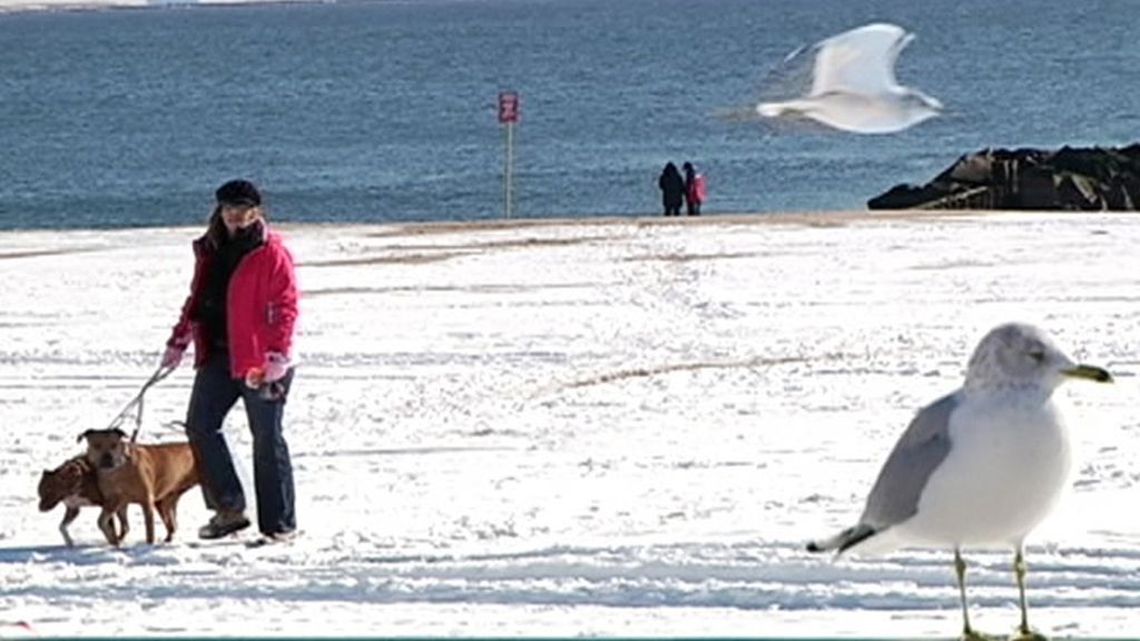 Playa en Coney Island