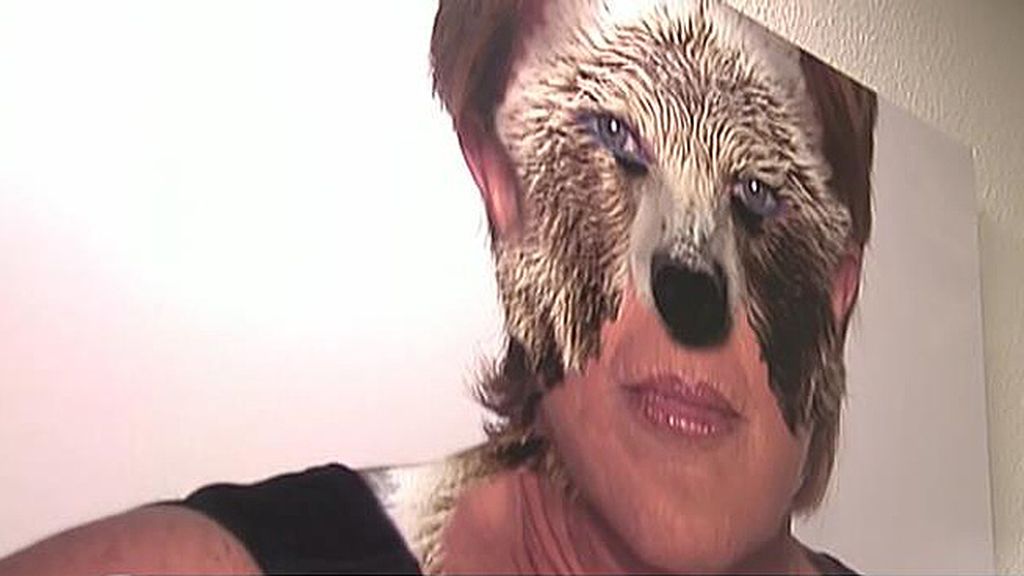 Leones, tigres, pumas, leopardos... La otra cara de los colaboradores