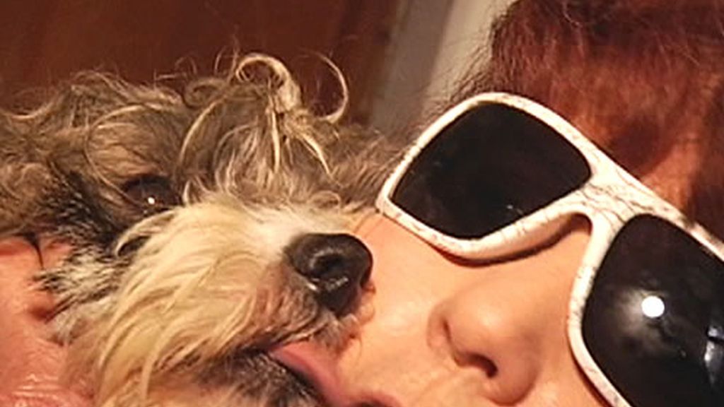 Un perro da un beso a su dueña