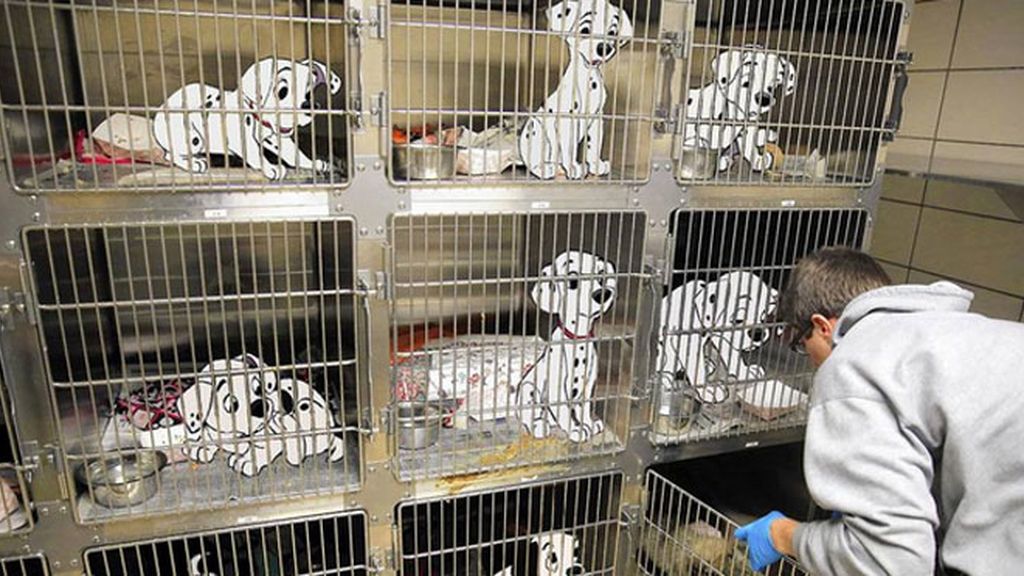 Los 101 dálmatas, ¡en la perrera!