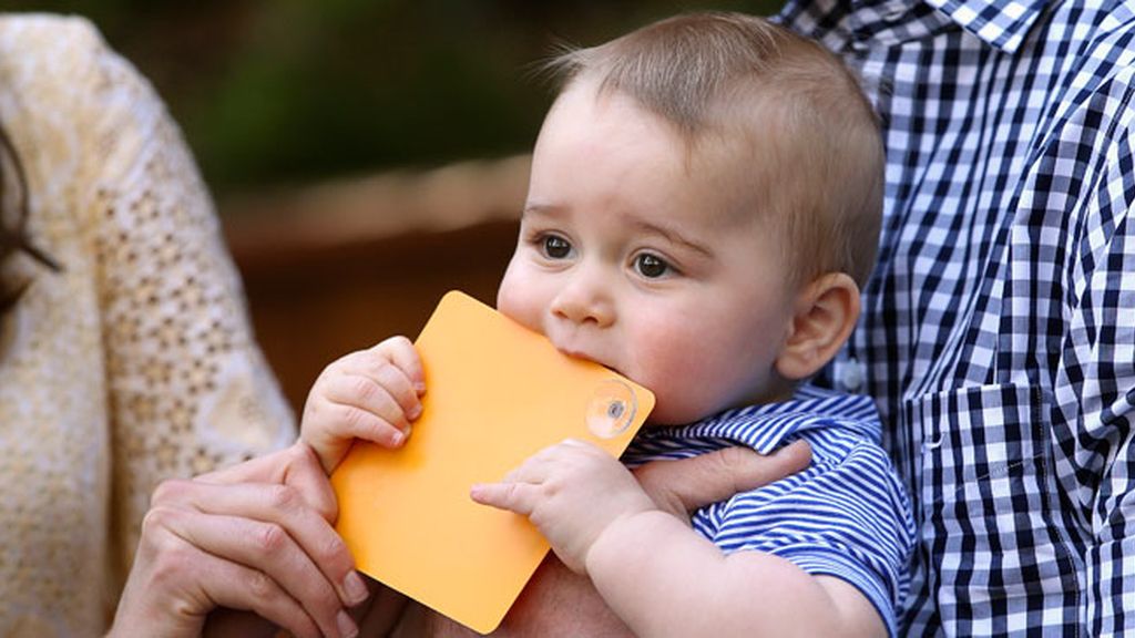 El príncipe George disfruta en el zoo de Sídney