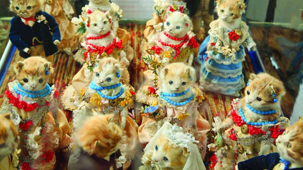 Animales reales en escenas ficticias