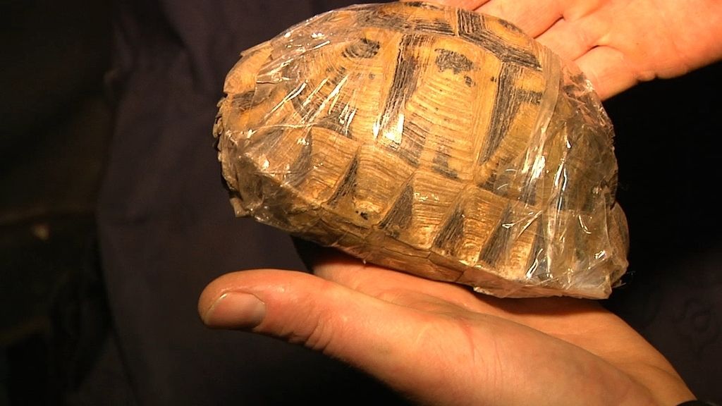 Primeras imágenes de aduanas y fronteras