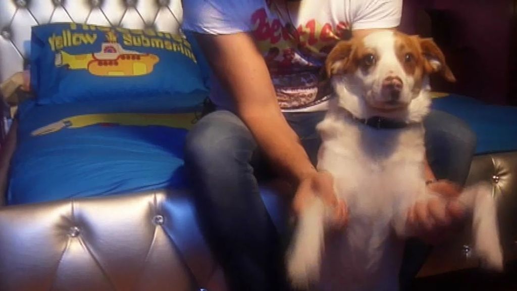 Iván, 'la fiebre del sábado noche' llega a 'GH'