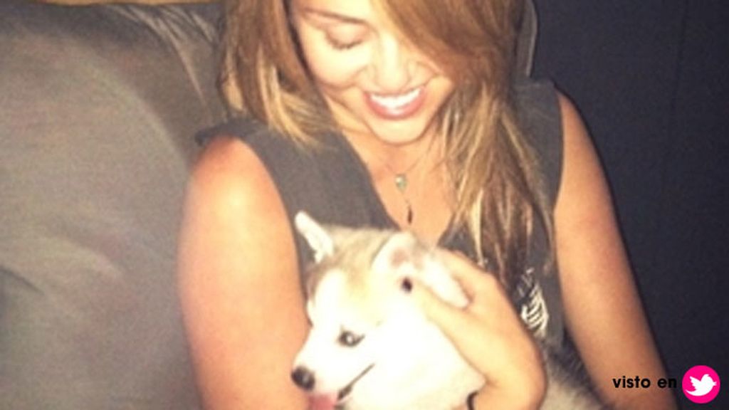 Así era la relación de Miley Cyrus y 'Floyd', el perro que ha revolucionado las redes