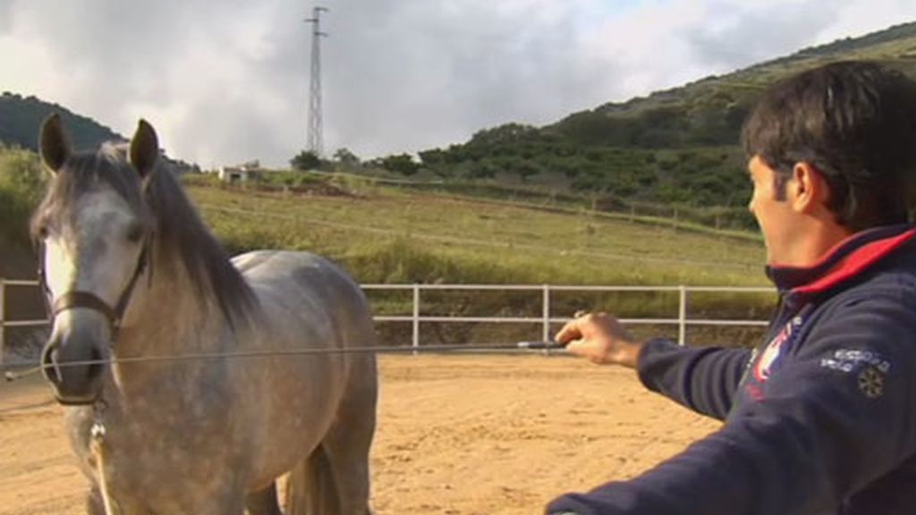 Luis además de dedicarse a los caballos es un gran amante de ellos