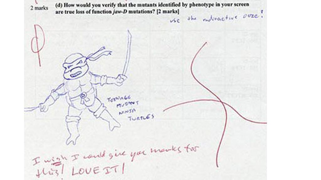 Las respuestas más disparatadas en los exámenes
