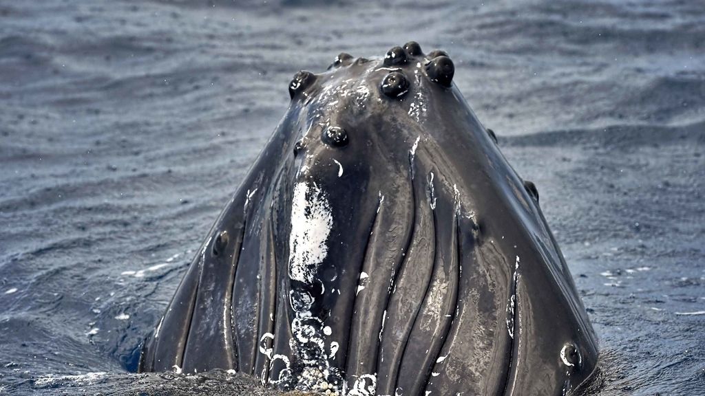 Increíbles fotos tomadas  en el Banco de la Plata en República Dominicana