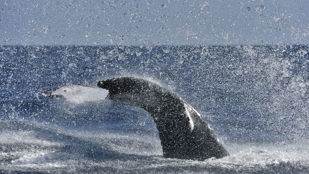 Increíbles fotos tomadas  en el Banco de la Plata en República Dominicana
