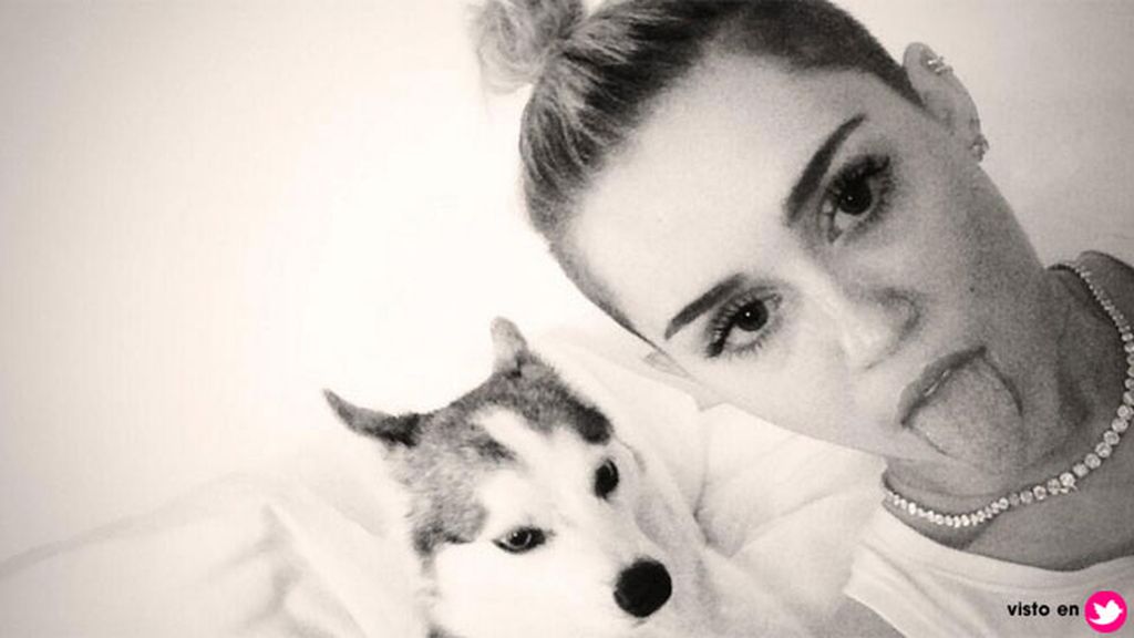 Así era la relación de Miley Cyrus y 'Floyd', el perro que ha revolucionado las redes