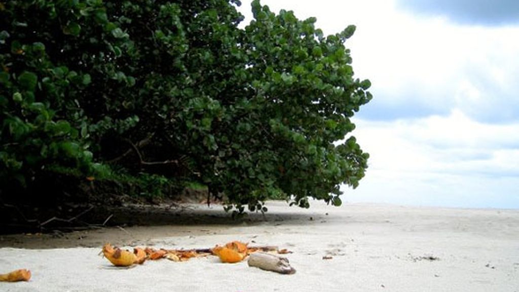 Honduras, por Mario Picazo