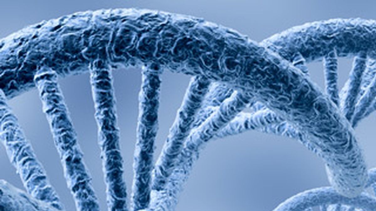 genes, genética, investigación