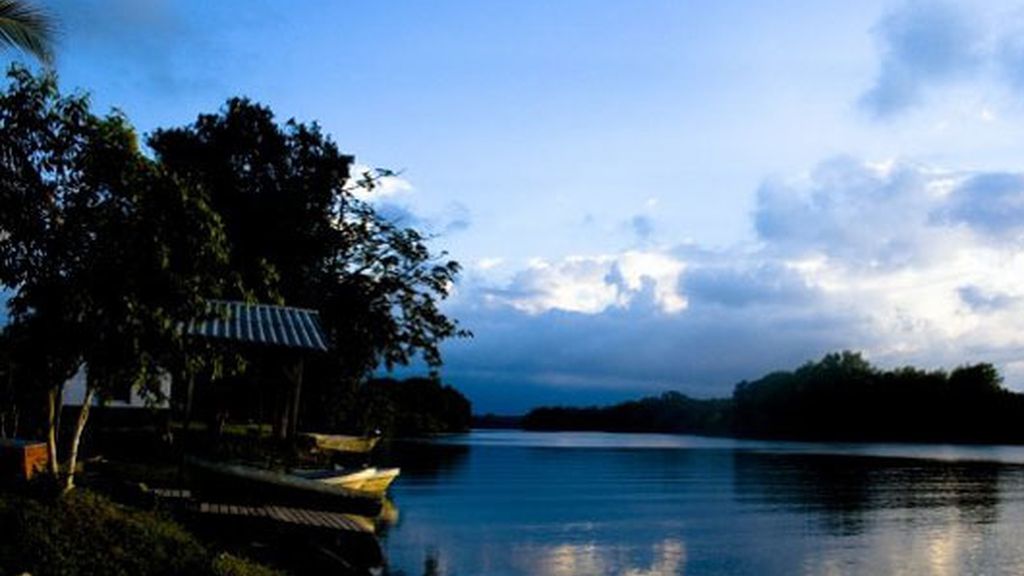 Honduras, por Mario Picazo