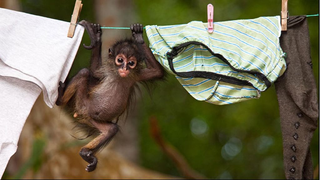 'Old clothes' (prendas viejas)