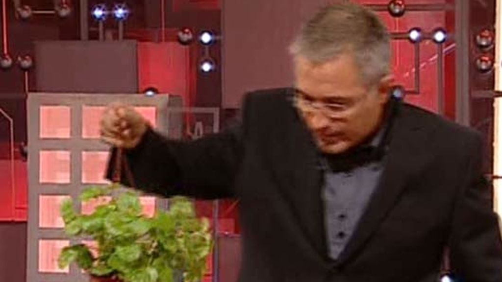 Los mejores momentos de 'La Tribu'